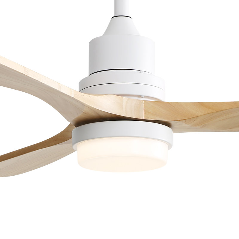 Ceiling Fan with LED Lights
