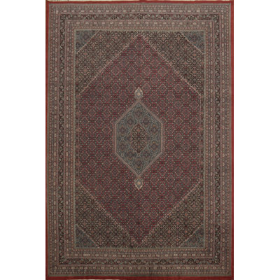 Traditional Style Oriental Large Rug 12x18