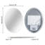 Oval LED Lighted Bathroom Mirror Backlit with Defog Memory Function -1967938283