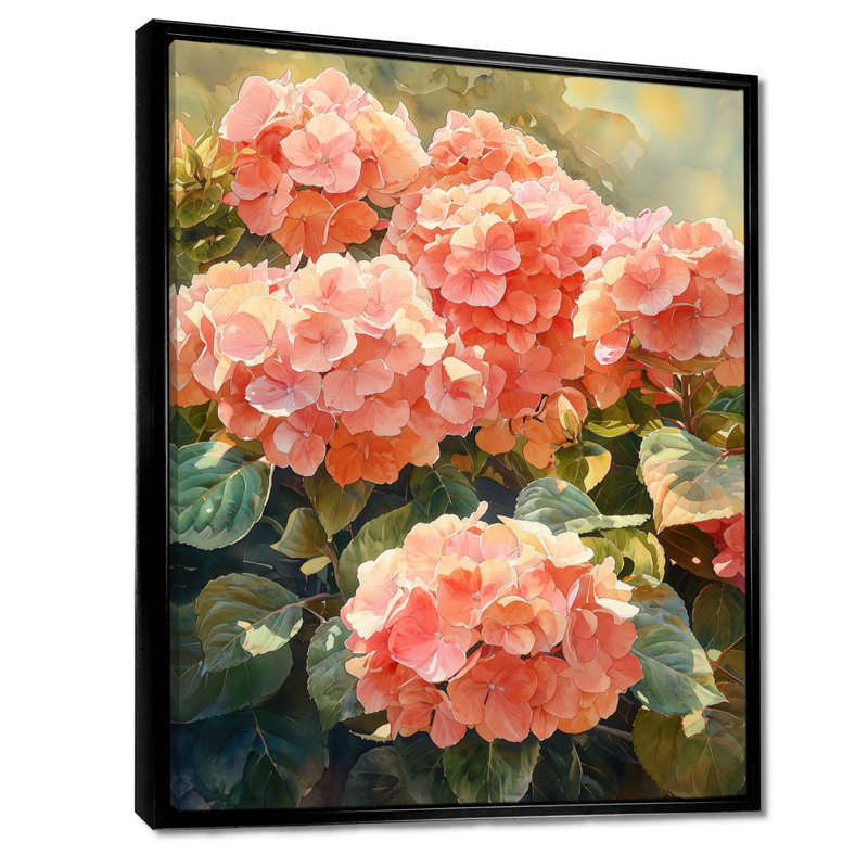 Hydrangées dans un jardin ensoleillé I - impressions sur toile d'hortensias, Noir, Reproduction avec cadre flottant