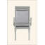 Maverick Fabric & Platinum Finish Arm Chair (Set Of 2)