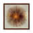 Brown/Orange selected