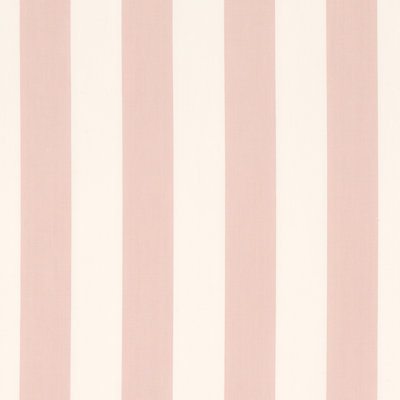 James Stripe Fabric