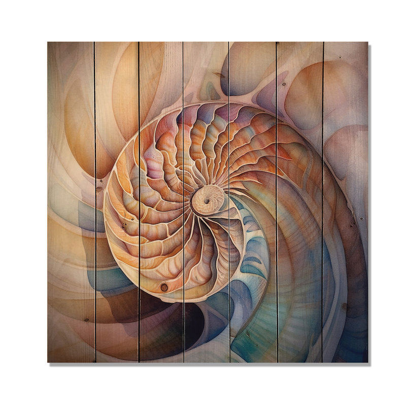 Art mural côtier en bois, impression de décor de plage coquillage - Gaitani Seashell Symphony II