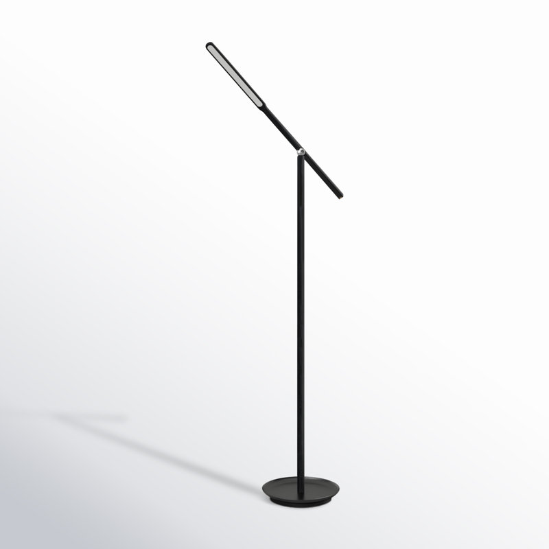 Dris 54'' LED Task Floor Lamp, Black