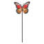 Ensemble de 2 choix de plantes papillons