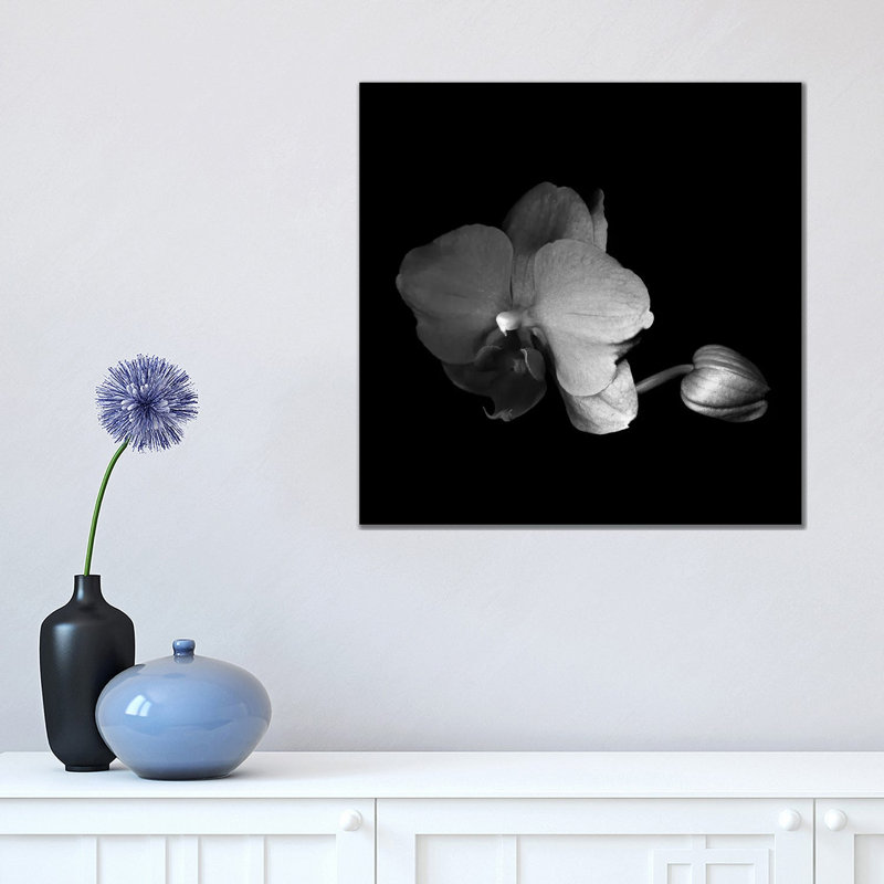 Orchid VI, B&W by Magda Indigo - Wrapped Canvas Gallery-Wrapped Canvas Giclée, 45.72 cm H x 45.72 cm W
