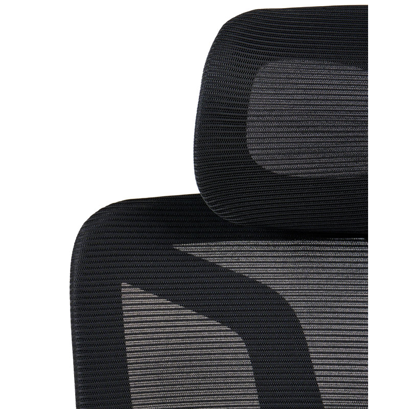 Brayden Studio Chaston Mesh Office Chair with Headrest, Black, Black