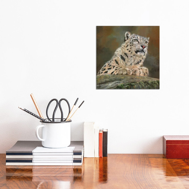 Snow Leopard On Rock by David Stribbling - Wrapped Canvas Gallery-Wrapped Canvas Giclée, 30.48cm H x 30.48cm W