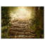 «Holy Light and Upstairs», reproduction de photo sur toile tendue-3089770
