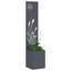 Planter Box-116918741-116918743