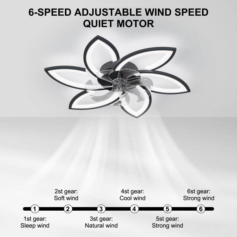 Ceiling Fan with Lights,Low Profile Ceiling Fan with Lights,Modern Dimmable Ceiling Light Fan, Black