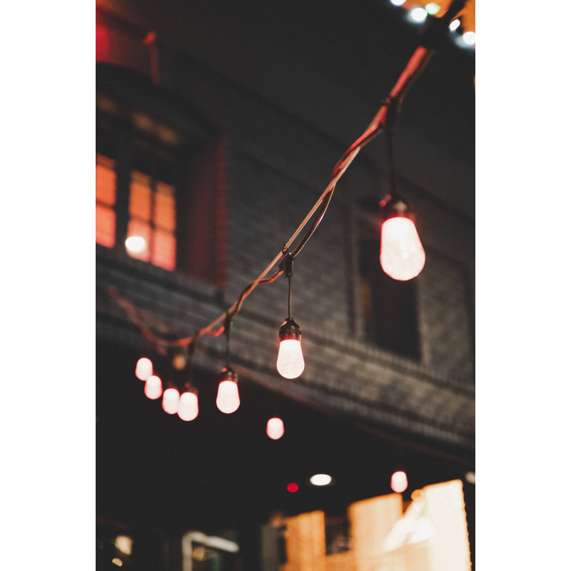 Outdoor 15 - Bulb 576'' Plug-in LED String Light