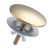 Polished Brass