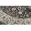 Oriental Area Rug
