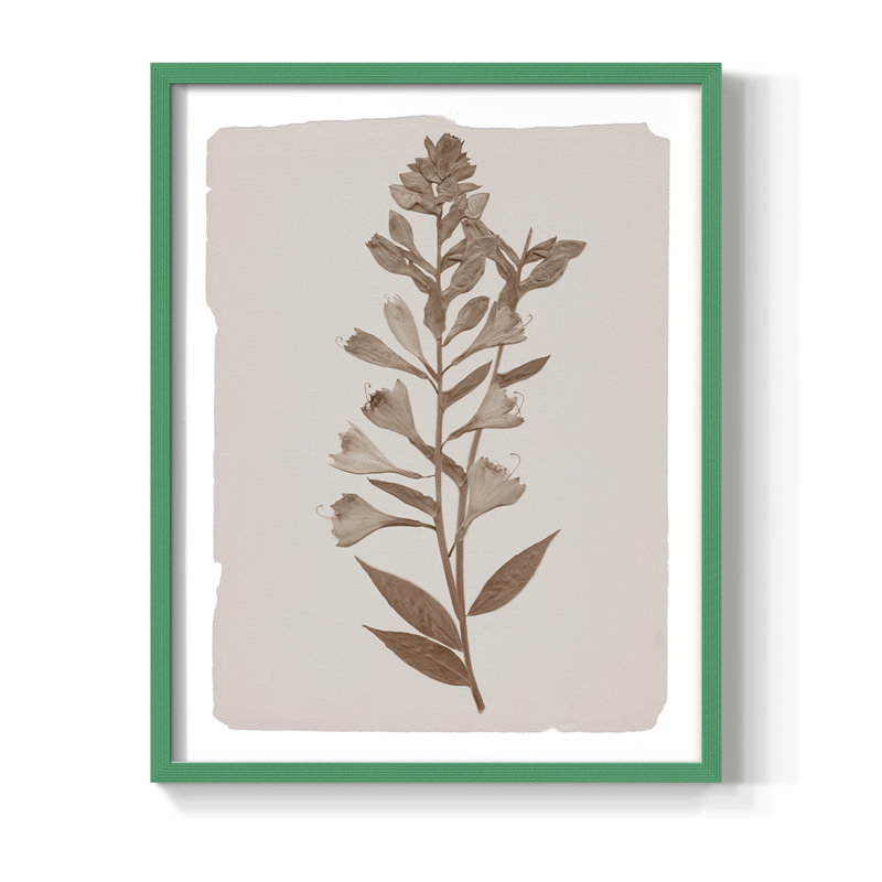 Impression botanique monochrome I - bois massif, H 21 po x l 17 po, Vert
