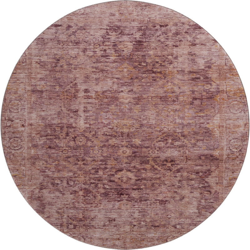 Premium Machine Washable Otte AMF1773 Border Rug, Round 8'