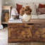 Commode à couverture Varuna-328648298