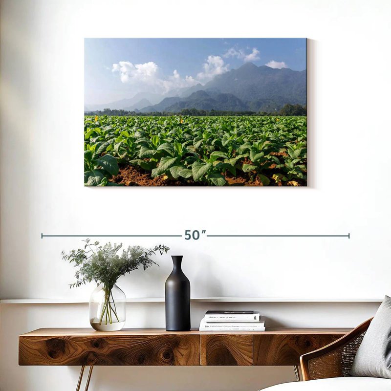 Alvord Tobacco Green Fields, 24" H x 36" W
