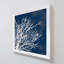 Coastal Coral II par Lanie Loreth - Peinture-1333476104-1333476098