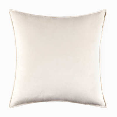 Housse de coussin en velours 