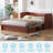 Queen Farmhouse Murphy Bed with Storage & Charging | Space-Saving Cabinet Bed for Guest Room, Apartment & Home Office, Cherry-997458261