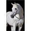 Adorned Stallion Print