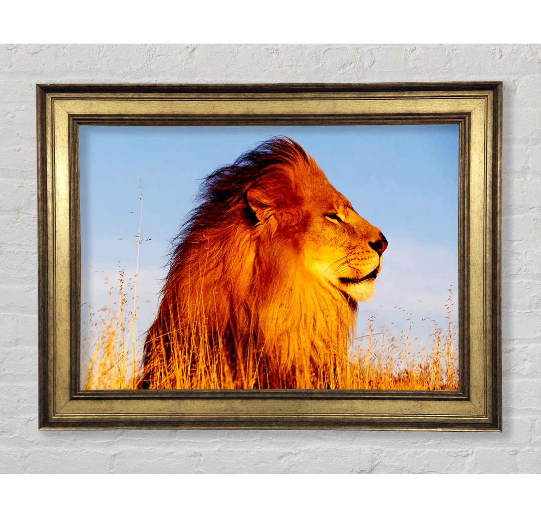 Lion on Watch - Bilderrahmen Kunstdrucke