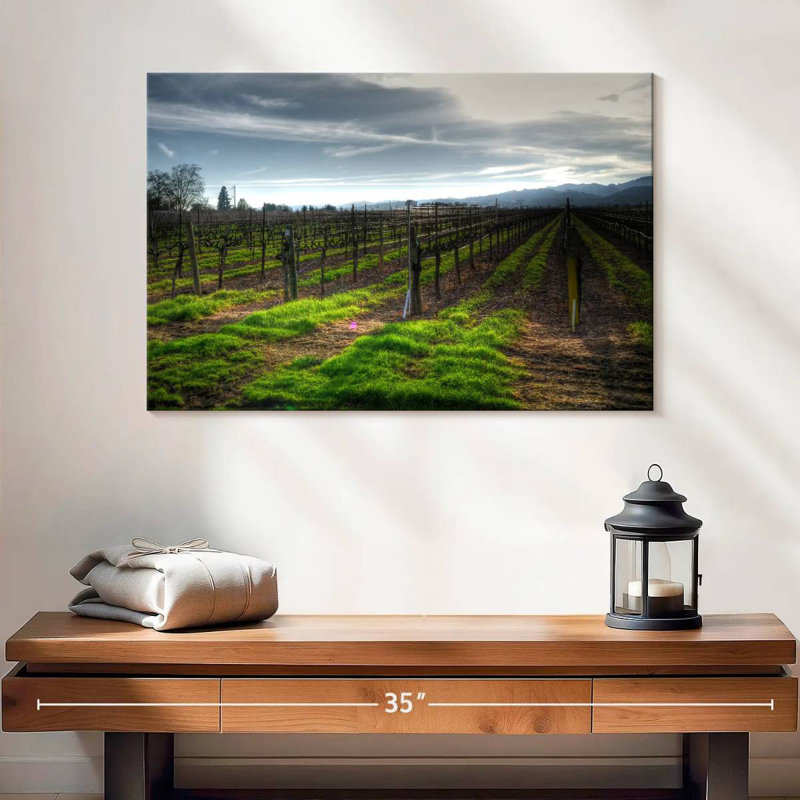 Alvord Napa Vineyard en janvier, H 16 po x l 24 po