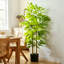 60 cm H Faux Bamboo Tree Plant in Cement Freestanding  Planter
