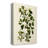 " Olive Greenery V " Painting Print-1186753029