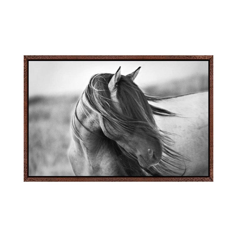 Tony Stromberg - Wrapped Canvas Print, 101.6 cm H x 66.04 cm W, Classic Wood Floater Framed