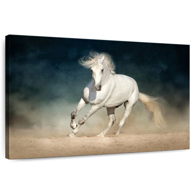 Brampt cheval dans la poussière