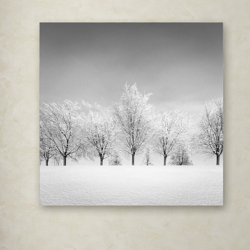 «Ice Storm» par Dave MacVicar - reproduction de photo sur toile tendue, H 14 po x l 14 po x P 2 po