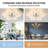 Merium Ceiling Fan with LED Lights
