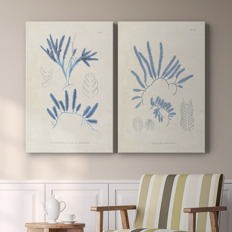 Blue Marine Algae I-Premium Gallery Wrapped Canvas -Ready to Hang, 27" H x 36" W