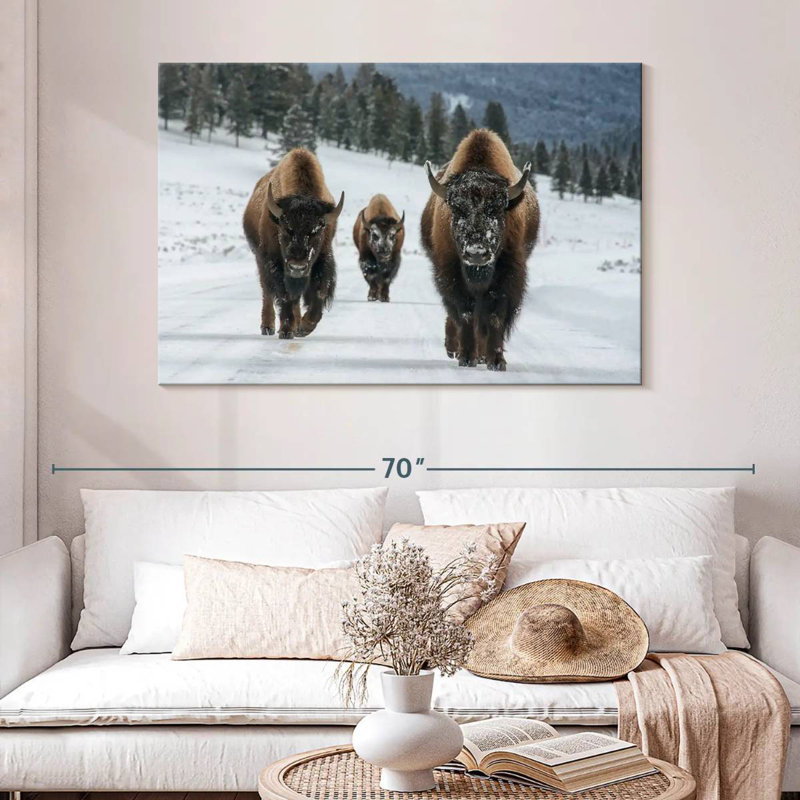 Photographie d'un bison de Brampt à Yellowstone, H 32 po x l 48 po