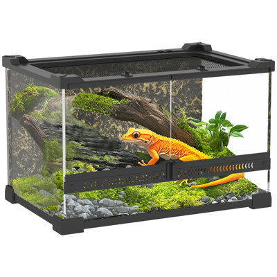 Reptile Box