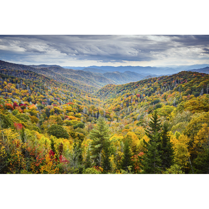 Smoky Mountains National Park - Wrapped Canvas Print, 51cm H x 76cm W