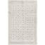 Neo Villa Southwestern Area Rug in Silver-106955004