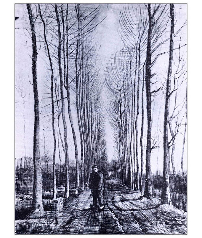 Vincent Van Gogh - Wrapped Canvas Print, 80cm H x 60cm W x 1.8cm D