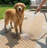 Custom Size Indoor Outdoor Runner Rug (26' x 5' Runner) - Alto Heritage Natural Beige  Pet Friendly Flatweave-1453687493