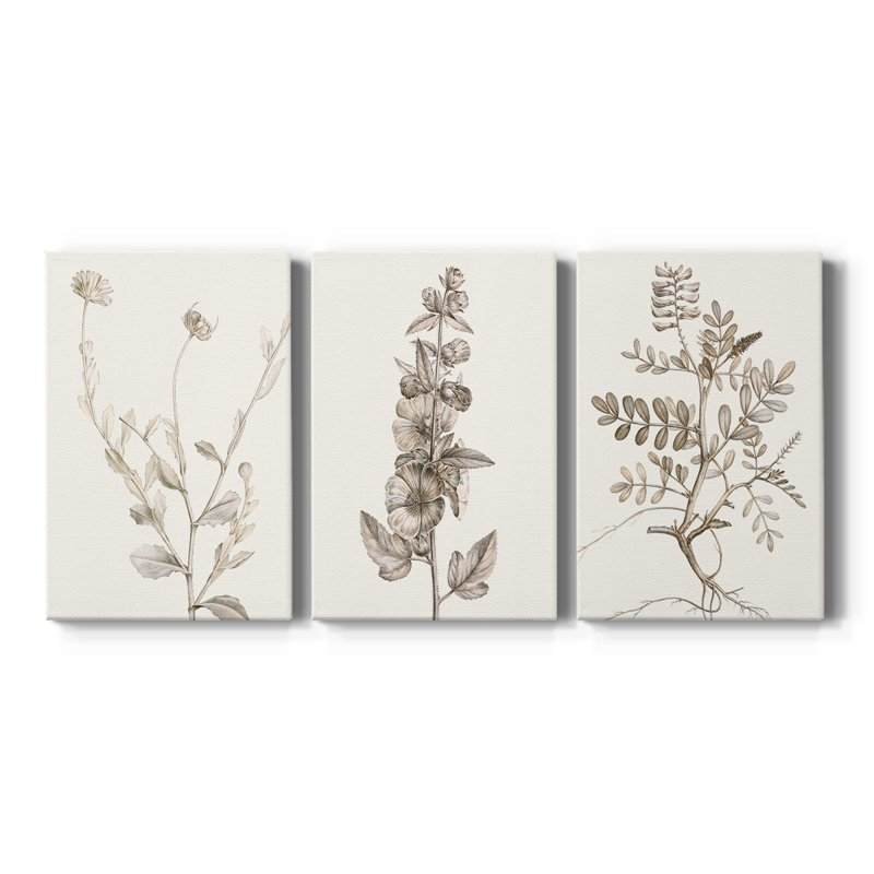 Neutral Botanical Study IV - Toile tendue sur mesure avec châssis - 3 pièces, H 12 po x l 24 po