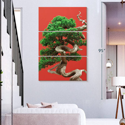 Bonsai Harnek Juniper