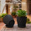 Plant Stand