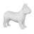 French Bulldog-49609686