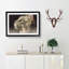 Curious Cat - Picture Frame Graphic Art Print-56708723-56708722