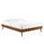 Walnut selected