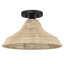 Hunter Agoura 1 Light Medium Flush Mount Ceiling Light Fixture