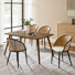 Anita Mid-Century Modern Dinning Chair with Rattan Hollow Backrest